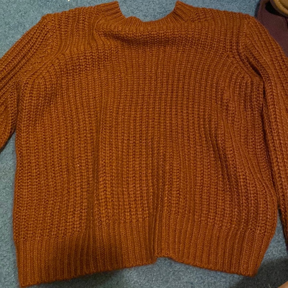Forever 21 red-brown sweater (crew style)